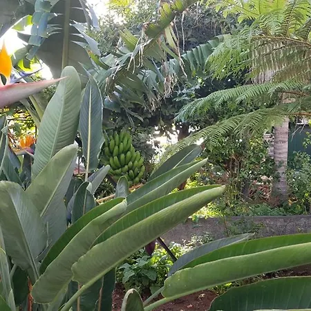 View Gardens Holiday home Funchal (Madeira)