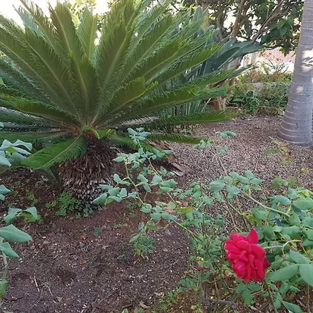 Holiday home View Gardens Funchal (Madeira)